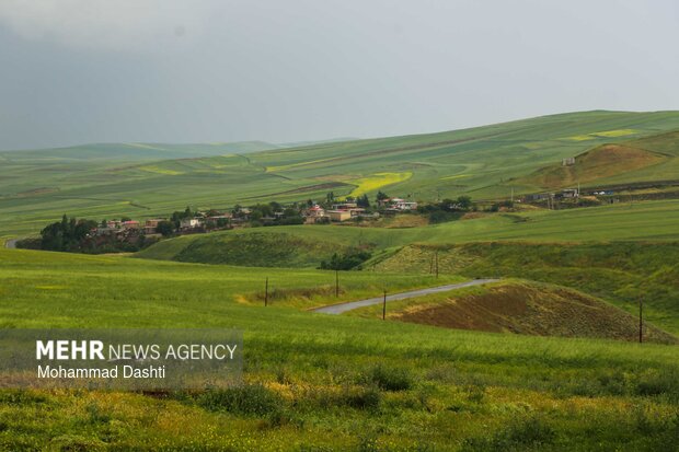 شهرستان گرمی؛نگین سبز اردبیل