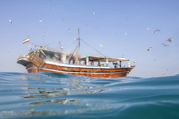 صيادي،اسكله،شيلات،صيادان،شناور،اجراي،خارگ،خارك،تعاوني،جزيره، ...