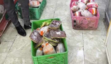 ۲۰۰ کیلوگرم مرغ تاریخ مصرف گذشته در کاشان معدوم شد