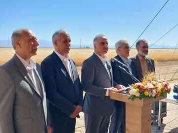 معاون وزیر: میزان تولیدات کشاورزی به ۱۳۹ میلیون تن رسید