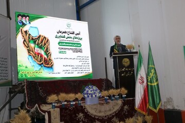 ازهاری: توسعه سردخانه‌ها رونق صادرات محصولات کشاورزی را هموار می‌کند