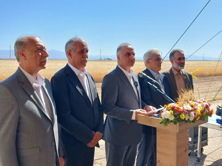 معاون وزیر: میزان تولیدات کشاورزی به ۱۳۹ میلیون تن رسید