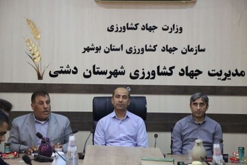 فرماندار دشتی:حمایت بخش کشاورزی از الزامات توسعه شهرستان است