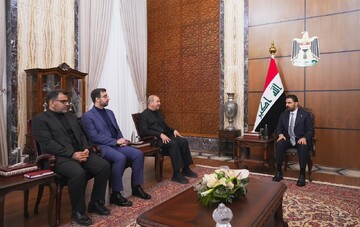 السفير الايراني في بغداد يلتقي رئيس الوزراء العراقي