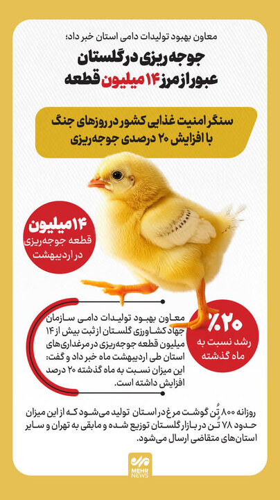 جوجه ریزی در گلستان از مرز ۱۴ میلیون قطعه عبور کرد