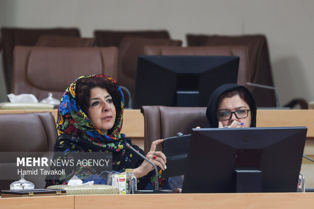 نشست خبری رئیس سازمان امور اجتماعی کشور