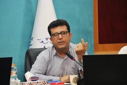 پروانه: نقشه راه صیانت از اشتغال در استان بوشهر تدوین شد