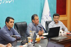 معاون استاندار بوشهر: تقویت فعالیت‌های اقتصادی در دستور کار است