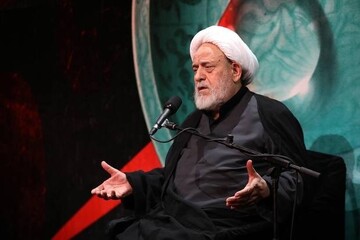 دستگاه ابی عبدالله فوق فقه است؛ پاسخ امام رضا به التماس دعای یک شیعه