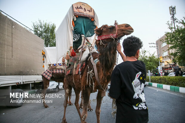 حرکت ورود کاروان نمادین امام حسین(ع) به کربلا در قم