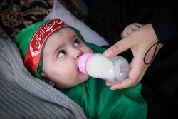 آغاز اجتماع شیرخوارگان حسینی در حرم مطهر رضوی
