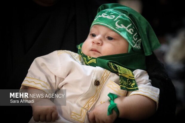 از گهوارههای سبز تا پیمان عاشورا؛ شیرخوارگان حسینی در گرگان