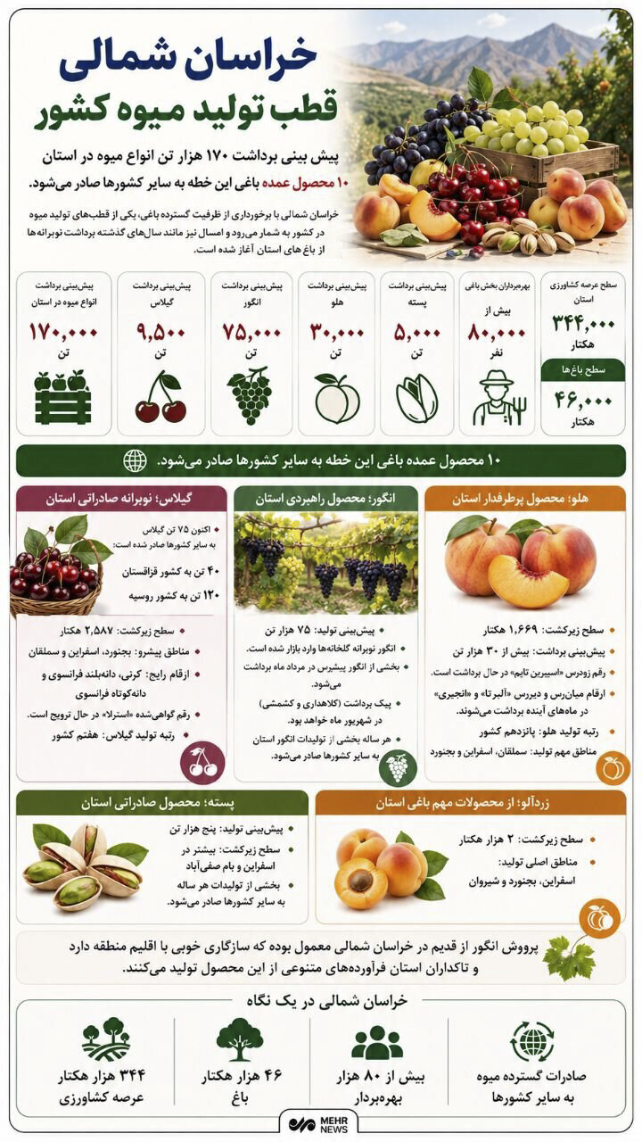 اینفوگرافیک؛ خراسان شمالی قطب تولید میوه کشور