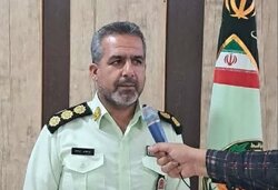 کشف ۲۵ راس احشام فاقد مجوز در میامی؛ ۲ خودروی متخلف توقیف شدند
