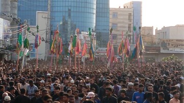 اوج گیری شور حسینی با برگزاری آیین کهن« علم پیغمبر» در میناب
