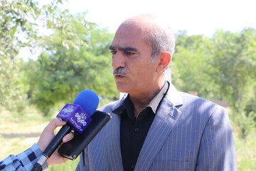 لرستان پتانسیل تبدیل‌شدن به قطب تولید گیاهان دارویی کشور را دارد