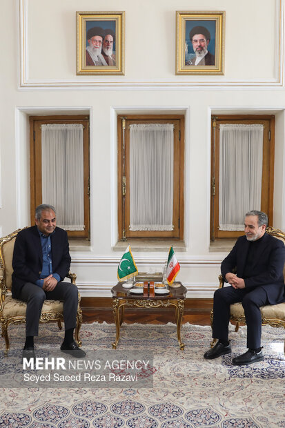 دیدار وزیر کشور پاکستان با وزیر امور خارجه