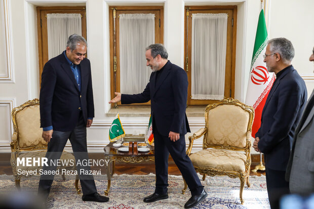 دیدار وزیر کشور پاکستان با وزیر امور خارجه
