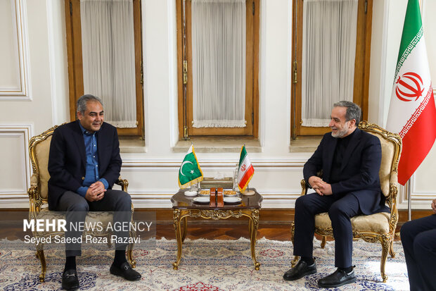 دیدار وزیر کشور پاکستان با وزیر امور خارجه