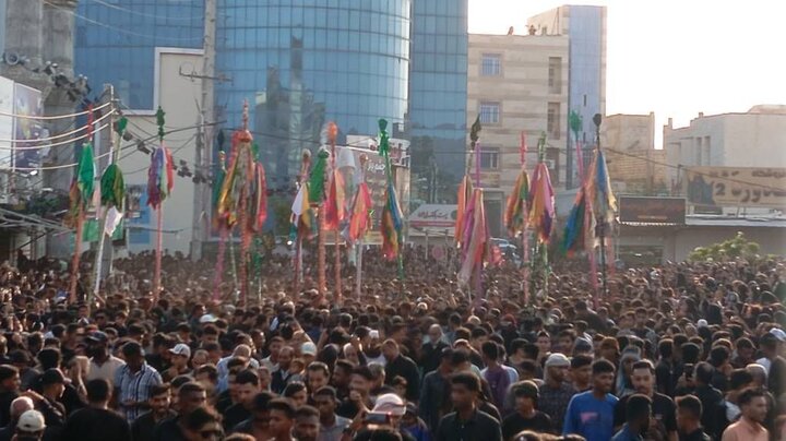 اوج گیری شور حسینی با برگزاری آیین کهن« علم پیغمبر» در میناب