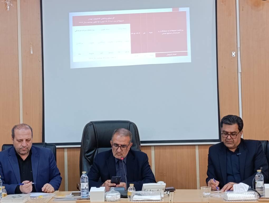 دستي،صنايع،فعالان،استان،توسعه،محصولات،حوزه،افزايش،كهگيلويه،ر ...