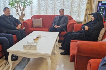 Iranian parliamentary delegation