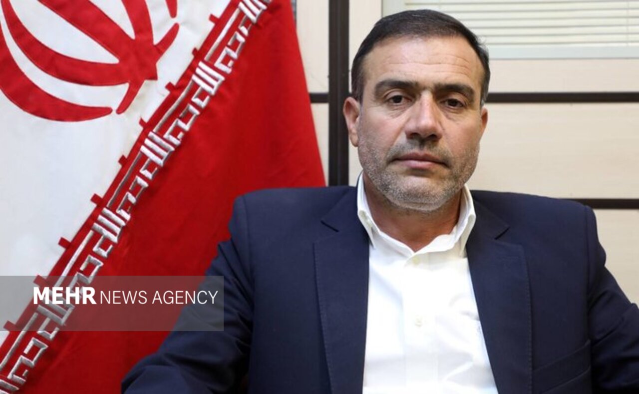 در گفتگو با مهر؛
                    
                    توکل: اصلاح قیمت خودرو اجتناب‌ناپذیر است/ خرید خودرو نباید آرزو شود
