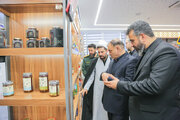 معاون بازرسی کل کشور از نمایشگاه توانمندی‌های تولیدی قم بازدید کرد