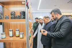 معاون بازرسی کل کشور از نمایشگاه توانمندی‌های تولیدی قم بازدید کرد