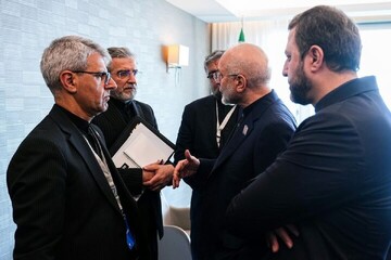 Iranian delegation