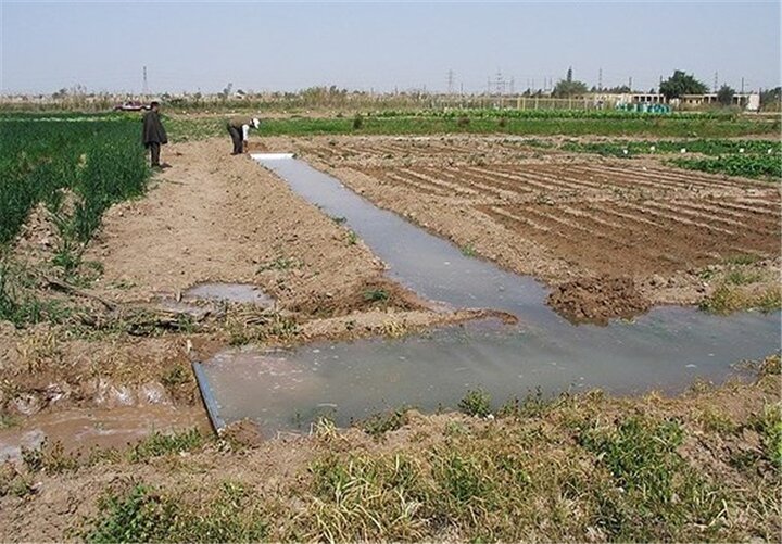 سلامت شیرازی‌ها در معرض تهدید؛ مزارعی که با آب آلوده سبز می‌شوند