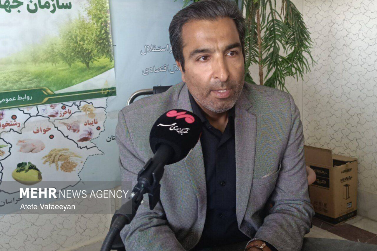 صرفه‌جویی ۶۰ درصدی آب با کشت چغندر قند پاییزه در خراسان رضوی