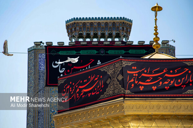 از پشت فرمان تا پشت مرز؛ روایت خادمان گمنام اربعین