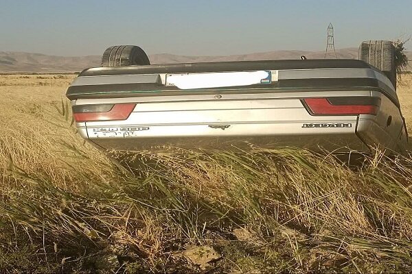 والدين،خودرو،راننده،سوئيچ،گواهينامه،لرستان،نقليه