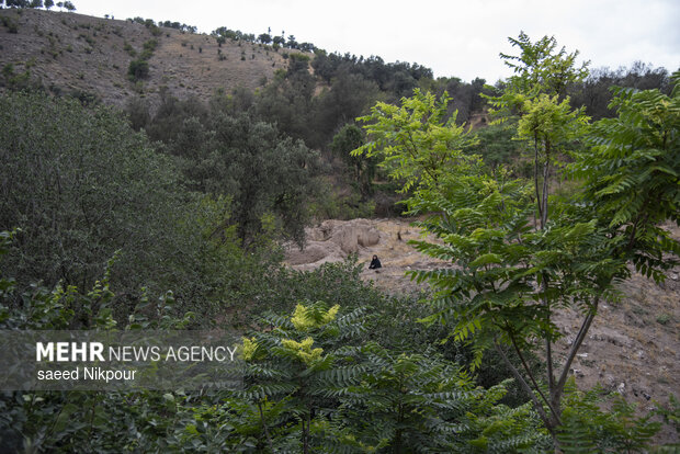 مراسم عزاداری روز عاشورا روستای گنجه رودبار