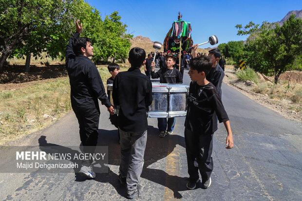 طولانی ترین نخل برداری روز عاشورا در روستای سعیدآباد پیشکوه یزد