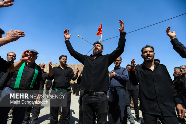 طولانی ترین نخل برداری روز عاشورا در روستای سعیدآباد پیشکوه یزد