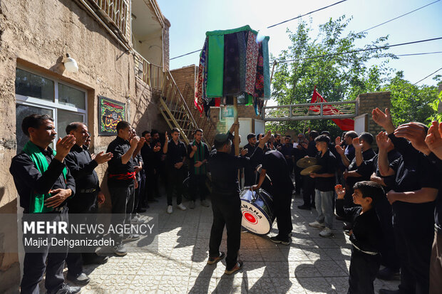 طولانی ترین نخل برداری روز عاشورا در روستای سعیدآباد پیشکوه یزد