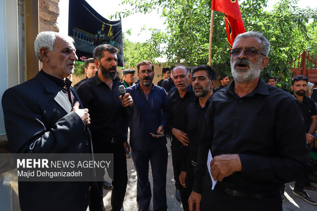 طولانی ترین نخل برداری روز عاشورا در روستای سعیدآباد پیشکوه یزد
