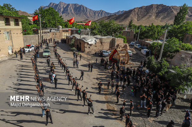 طولانی ترین نخل برداری روز عاشورا در روستای سعیدآباد پیشکوه یزد