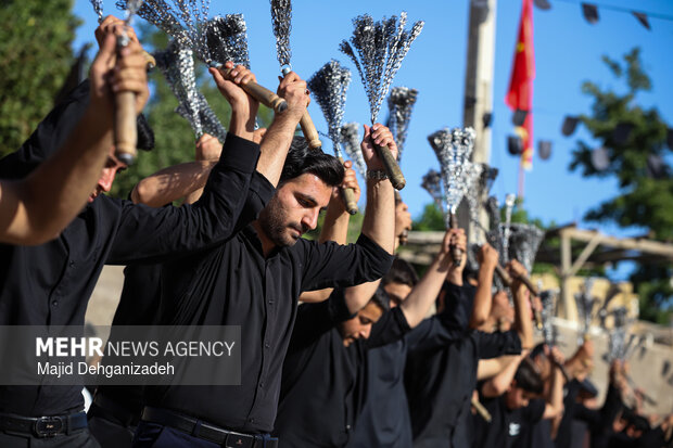 طولانی ترین نخل برداری روز عاشورا در روستای سعیدآباد پیشکوه یزد