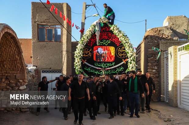 طولانی ترین نخل برداری روز عاشورا در روستای سعیدآباد پیشکوه یزد