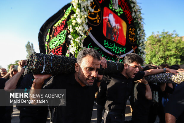 طولانی ترین نخل برداری روز عاشورا در روستای سعیدآباد پیشکوه یزد