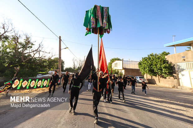 طولانی ترین نخل برداری روز عاشورا در روستای سعیدآباد پیشکوه یزد