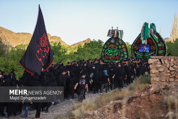 طولانی ترین نخل برداری روز عاشورا در روستای سعیدآباد پیشکوه یزد
