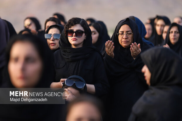طولانی ترین نخل برداری روز عاشورا در روستای سعیدآباد پیشکوه یزد