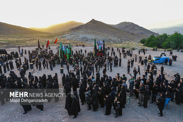 طولانی ترین نخل برداری روز عاشورا در روستای سعیدآباد پیشکوه یزد