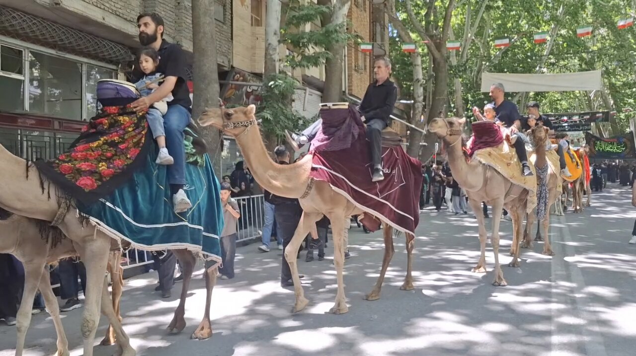 زنجيرزني