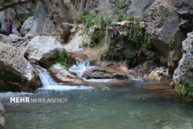 آبشار تنگ تامرادی؛ نگین طبیعت چهارفصل یاسوج در انتظار گردشگران