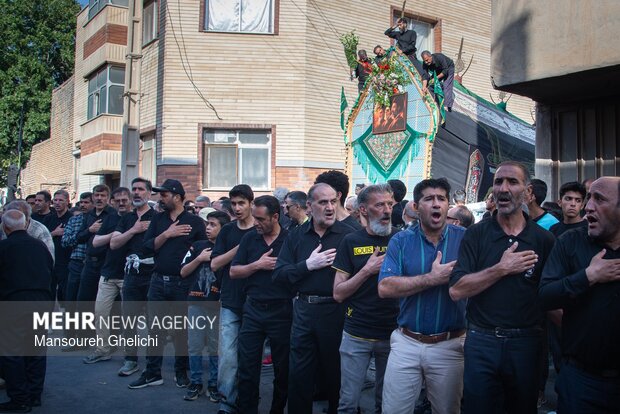 آیین نخل گردانی یازدهم محرم در شاهرود